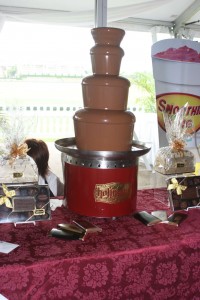Hoffman's Chocolate Fountain