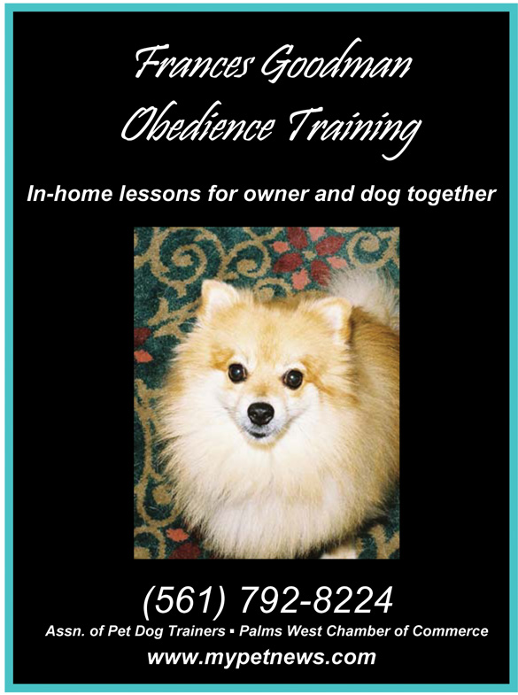 For Obediance Training, call (561) 792-8224.