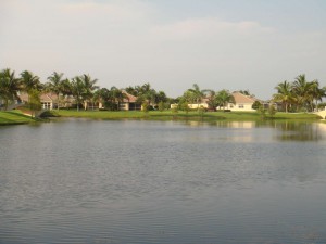 A VillageWalk View