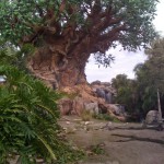 The “Tree of Life”