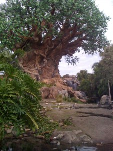 The amazing "Tree of Life" at Animal Kingdom