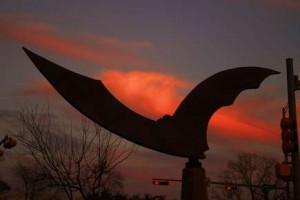 Bat Statue on Congress Avenue during warm sunset in Austin, Texa