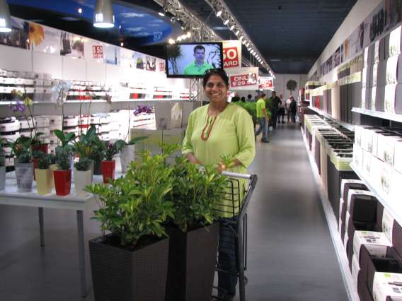 The beautiful new Lechuza indoor, self-watering plant store, inside Playmobil FunPark in Palm Beach Gardens.