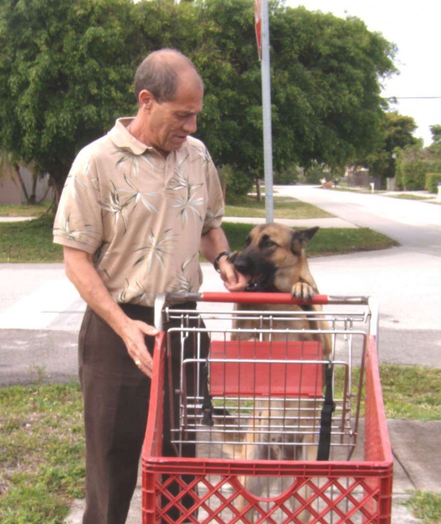 Jay Meranchik teaches Max how to push a shopping cart. See "AW Stories of the Month." Photo by Marla E. Schwartz.