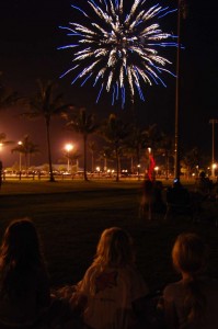 Fireworks at Village Park in Wellington. Photo by Elien Boes.