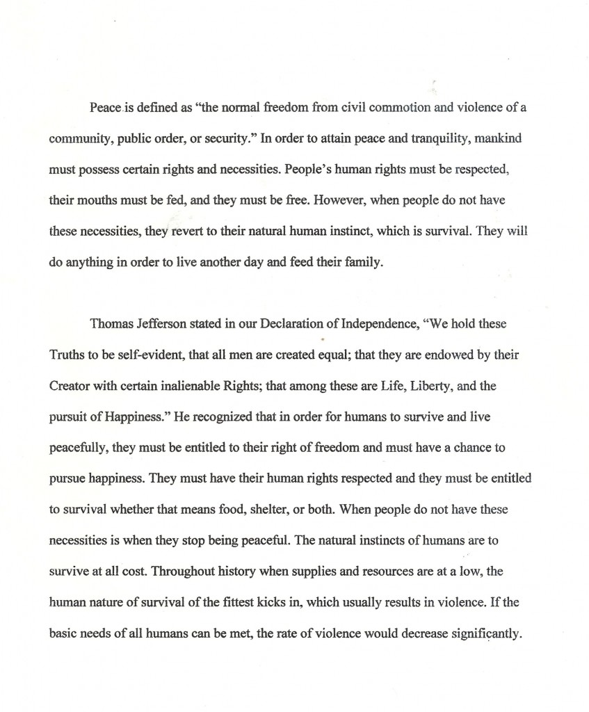 world peace essay conclusion