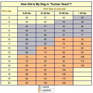 copy-of-dog_age_chart