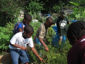 Greyston Foundation's Community Garden