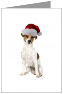 jackrussell-christmas1