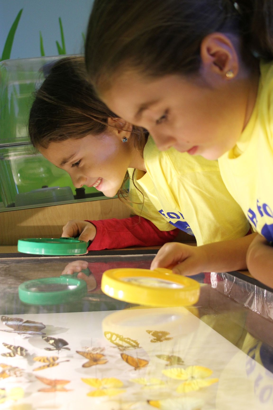 June, 2013 – Science Center’s Summer Science Camp
