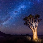 Milky Way in Namibia by Margorie Neu