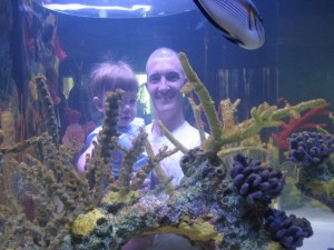 Enjoying the new pop-up tank, where visitors can get a 360 degree view of the aquarium.