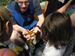 A hands-on portion of the aquarium allows visitors to touch starfish and other small sea creatures