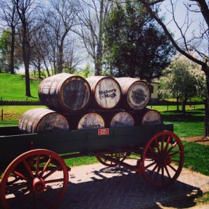 Barrels and barrels of whiskey!