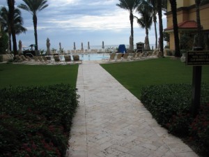 View from the pool at Eau Palm Beach