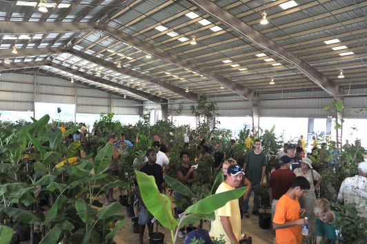 March, 2015 – Annual Tropical Fruit Tree and Plant Sale