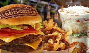 burgerfi-burgerandfries