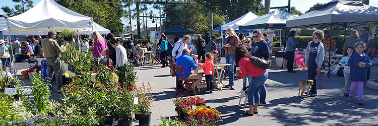 Twilight Green Market at Wellington Coming to Town Center Promenade in October