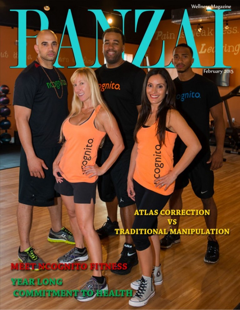 February, 2015 – Meet Ncognito Fitness