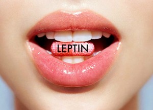November, 2013 – The Leptin-Obesity Connection