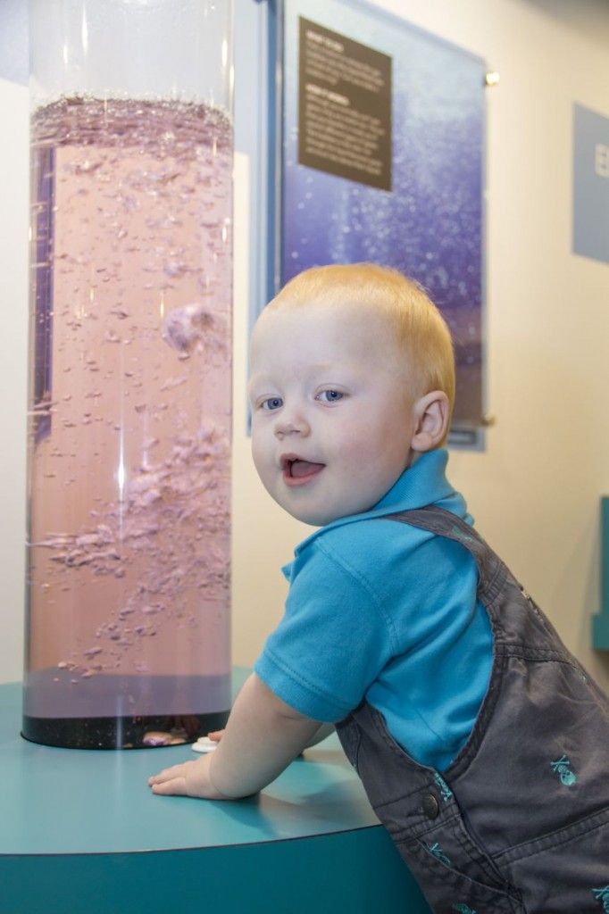 February, 2015 – Science Center’s New Hall of Discovery