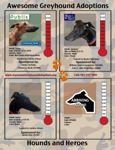December, 2015- Awesome Greyhound Adoptions