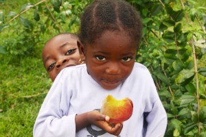 December, 2011 – Haitian American Tree Trust Presents Remembering Haiti Walkathon
