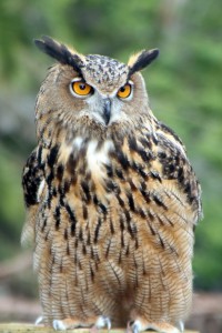 February, 2012 – “Night Owls Overnight Adventure” at PB Zoo