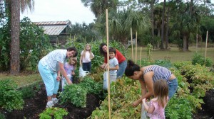 January, 2010 – Community Vegetable Garden