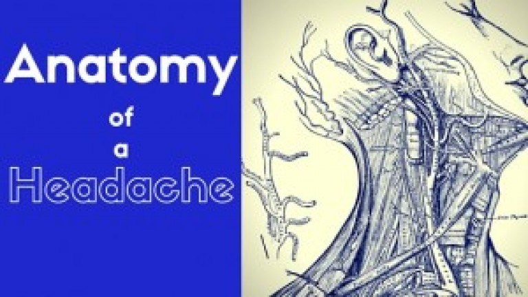 The Anatomy of a Headache