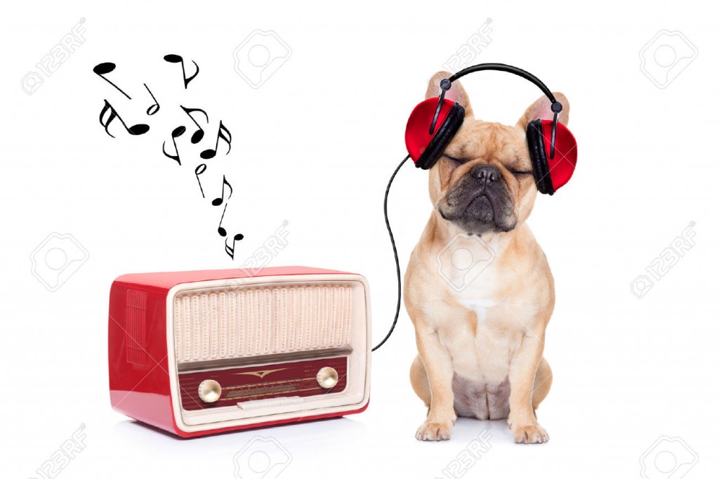 Bulldog-Music