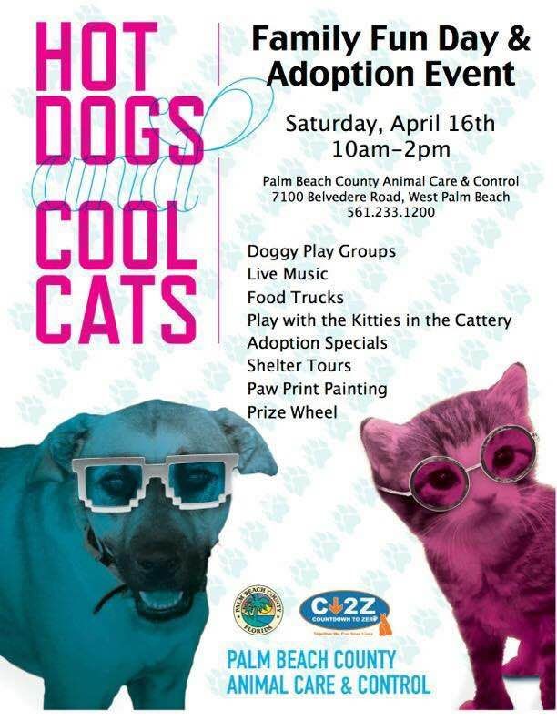 Hot Dogs and Cool Cats, PBC Animal Care & Control