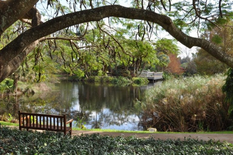 The Mounts Botanical Garden of Palm Beach County To Host Six Events