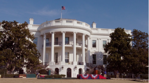 white-house