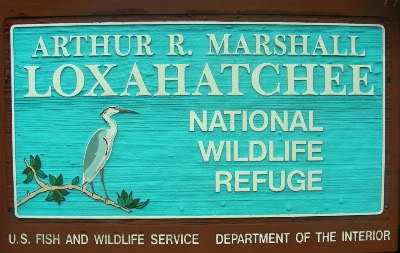 ARTHUR R. MARSHALL LOXAHATCHEE NATIONAL WILDLIFE REFUGE