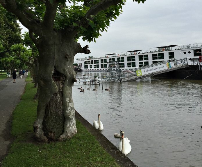 river cruise