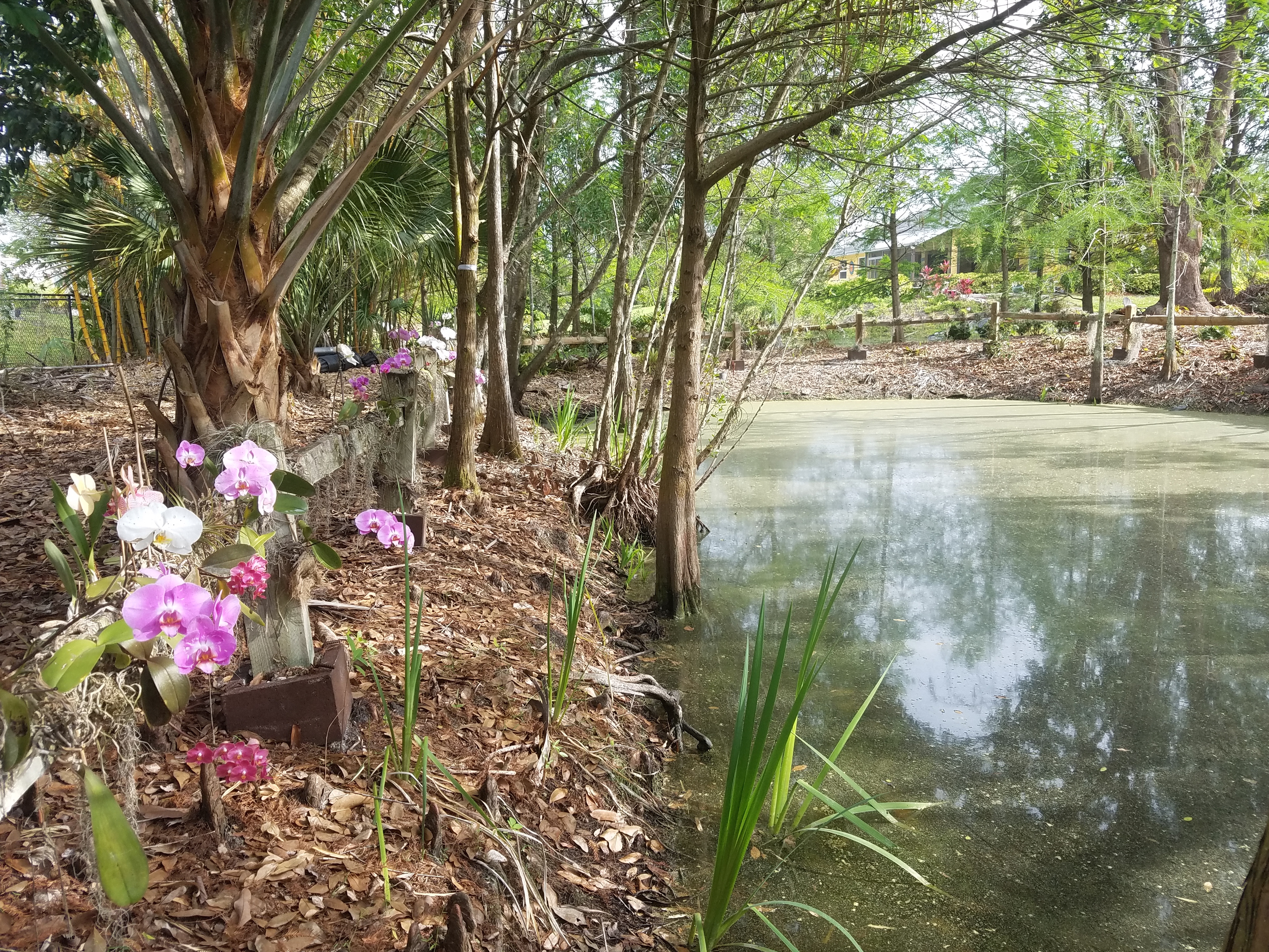 Mounts Botanical Garden Of Palm Beach County To Host Annual