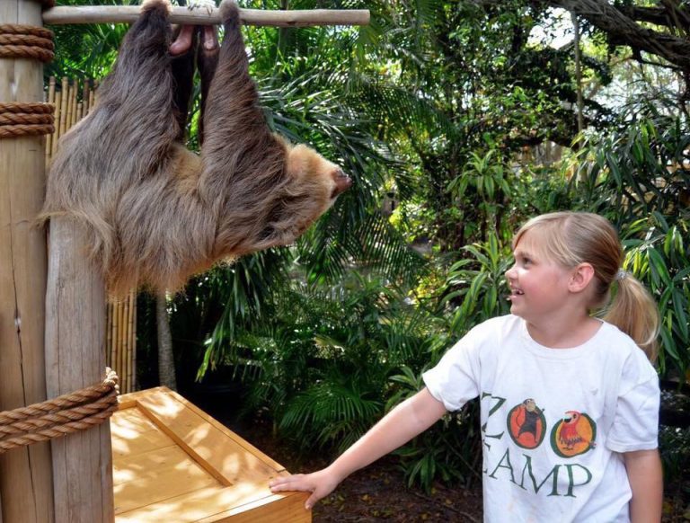 May 2017 Special Events Announced for Palm Beach Zoo