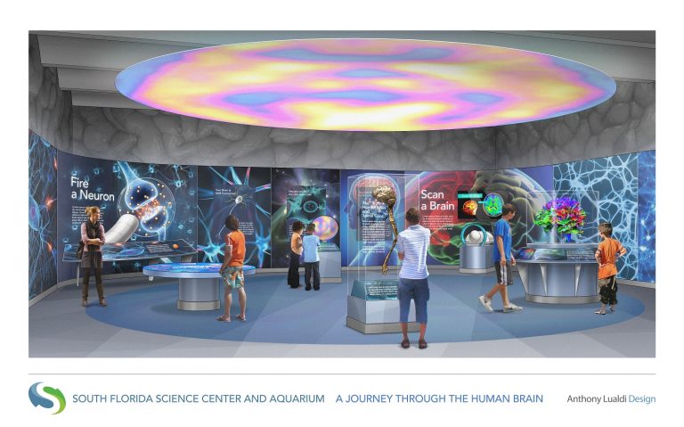 Quantum Foundation Donates $900,000 to Fund New Brain Exhibit at Science Center