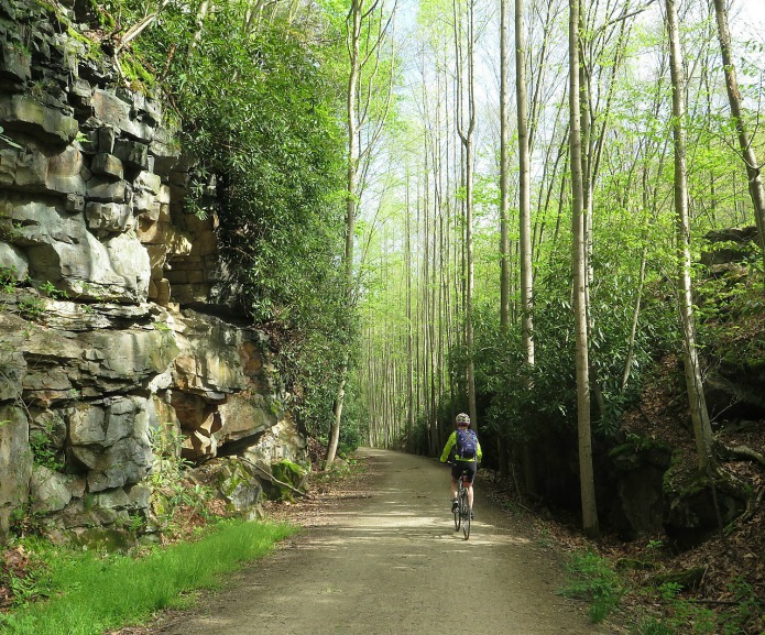 Need Some Exercise? Get Moving On These Rails To Trails Around The Country