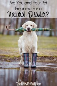 Are you and your pet ready for a Natural Disaster?