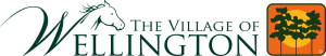 Village of Wellington Popular Annual Financial Report