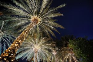 Mounts Botanical Garden of Palm Beach County Invites the Public to Four Amazing Events Next Month