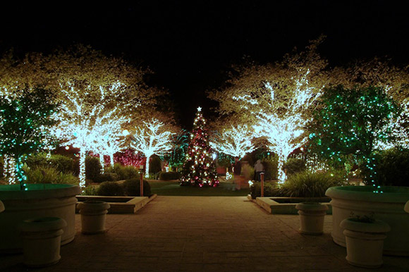 Mounts Botanical Garden to Present GARDEN OF LIGHTS: A Winter Holiday ...