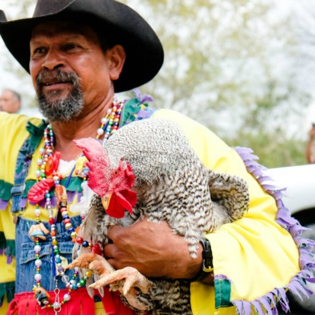 Lake Charles family friendly Mardi Gras on TravelSquire.com