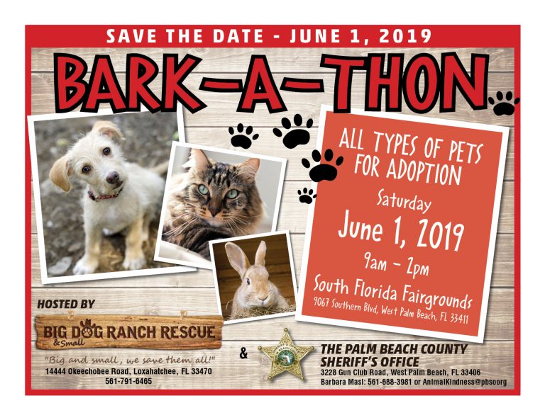Bark A Thon on June 1st