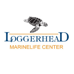 Downtown at the Gardens and Loggerhead Marinelife Center Partner for World Oceans Month