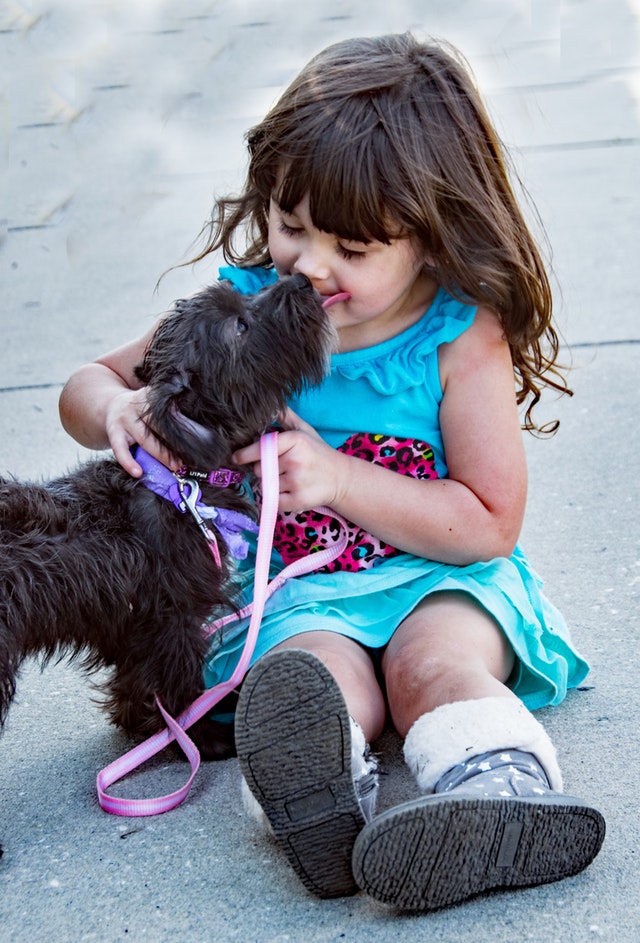 Children and Dogs