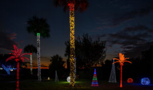 Mounts Botanical Garden to Present Dazzling GARDEN OF LIGHTS, Dec. 13-29