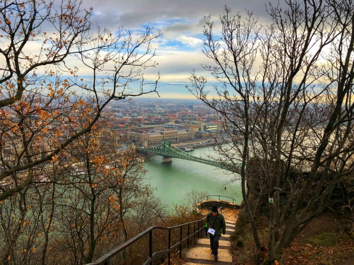 Views from Buda Hill on Travel with Terri for Around Wellington